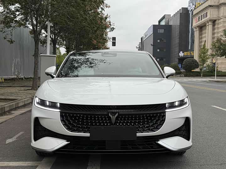 Voyah Passion 2024 2024款 PHEV 四驱超长续航行政版