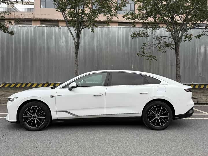 Voyah Passion 2024 2024款 PHEV 四驱超长续航行政版