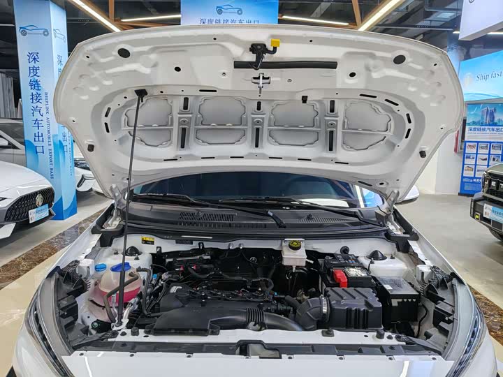 Chery Tiggo 3x 2024 2024款 1.5L CVT卓越版