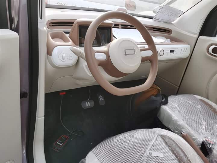 Bestune Pony 2026 2026款 222km 炫彩马