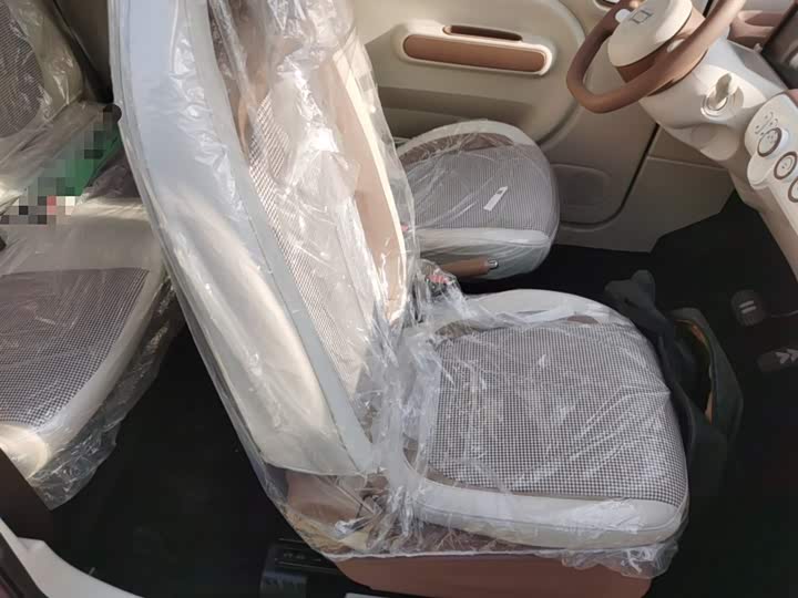 Bestune Pony 2026 2026款 222km 炫彩马