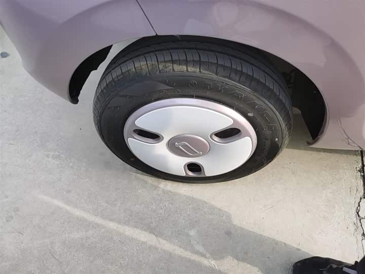 Bestune Pony 2026 2026款 222km 炫彩马