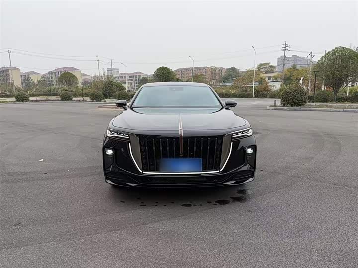 Hongqi H9 2025 2025款 2.0T 两驱旗享私享风尚版 5座