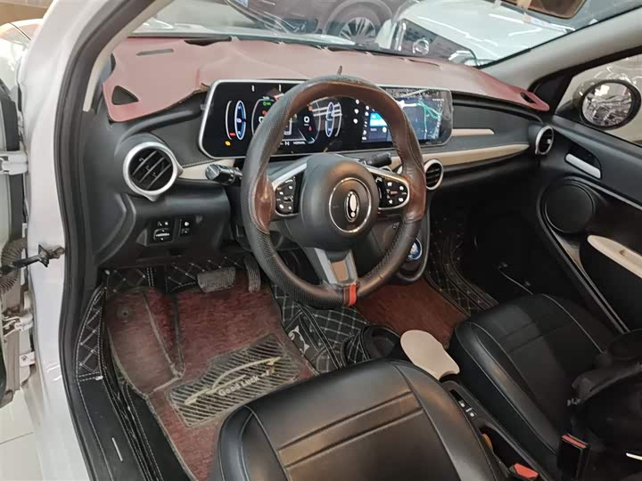 Ora Black Cat 2022 2022款 351km 舒适型 三元锂