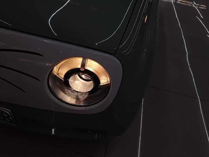 Ora Black Cat 2022 2022款 351km 舒适型 三元锂