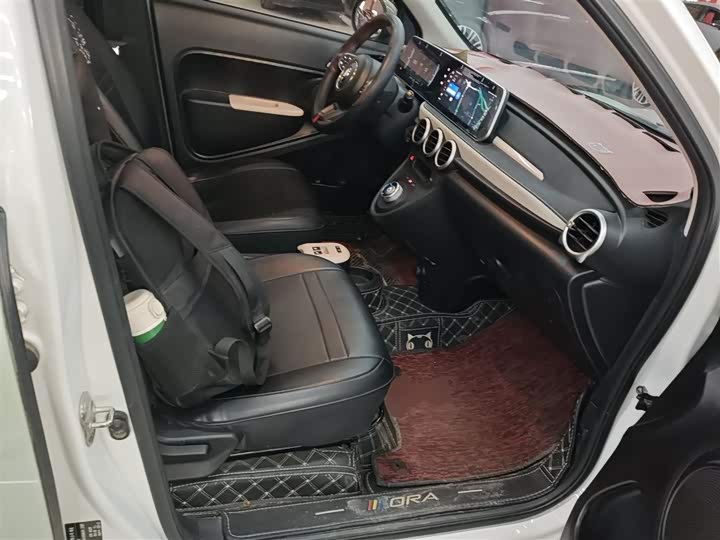 Ora Black Cat 2022 2022款 351km 舒适型 三元锂