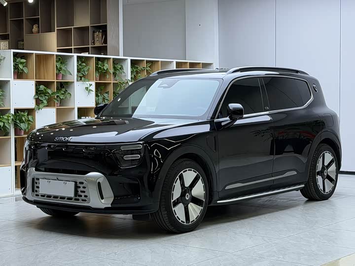 Smart #5 2024 2024款 超长续航奇旅 豪华版