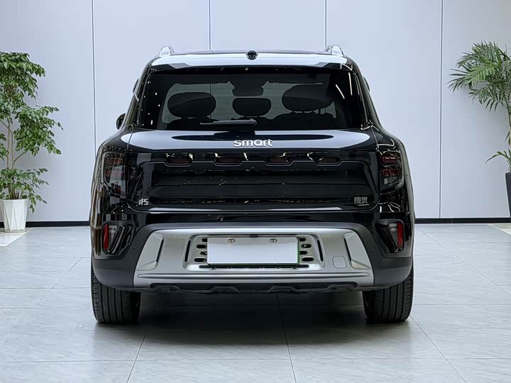 Smart #5 2024 2024款 超长续航奇旅 豪华版