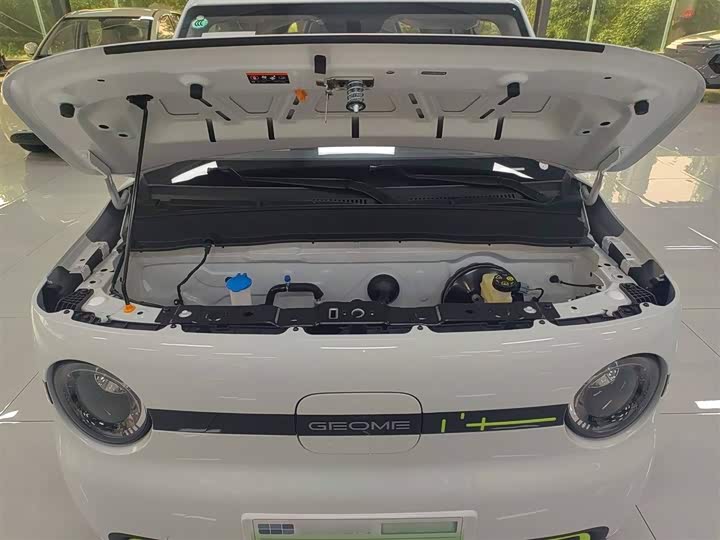 Geely Galaxy Panda Mini 2025 2025款 熊猫mini 210km 元气熊