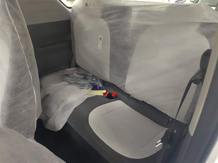 Geely Galaxy Panda Mini 2025 2025款 熊猫mini 210km 元气熊