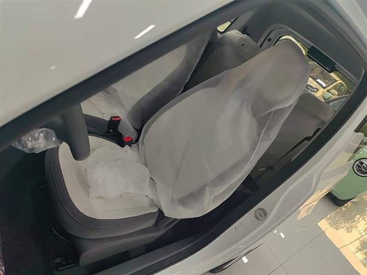 Geely Galaxy Panda Mini 2025 2025款 熊猫mini 210km 元气熊