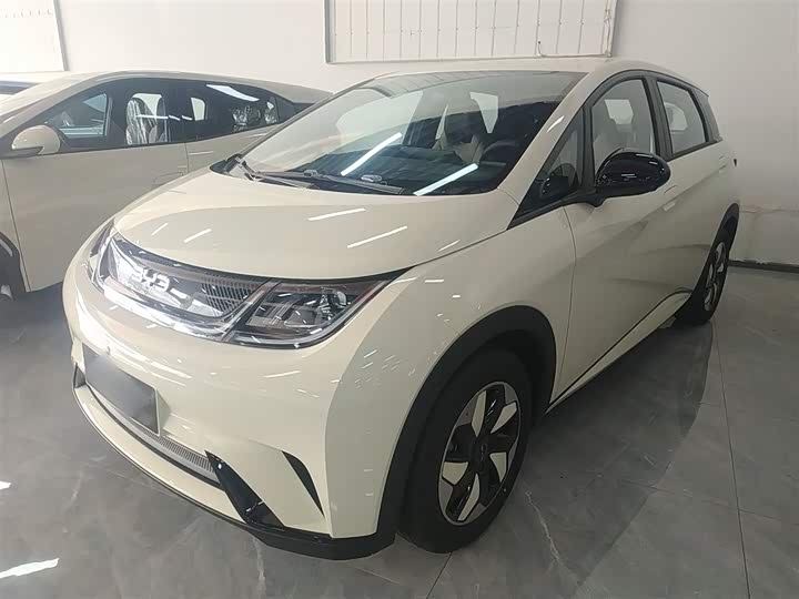 2025 BYD Dolphin