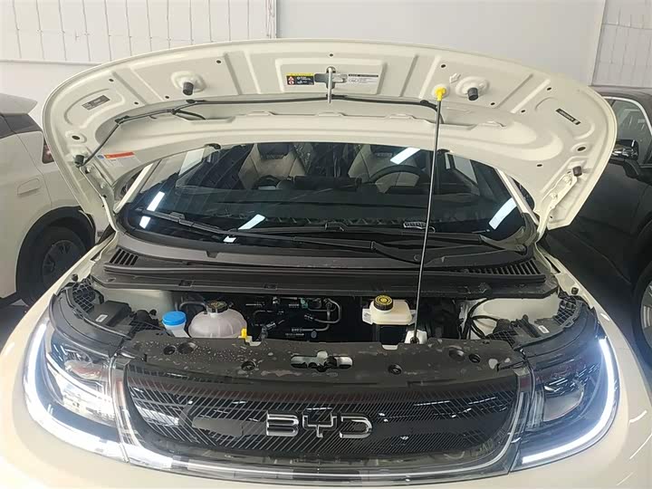 BYD Dolphin 2025 2025款 420km 自由版