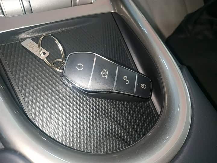 BYD Dolphin 2025 2025款 420km 自由版