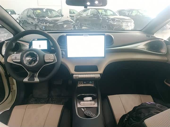 BYD Dolphin 2025 2025款 420km 自由版