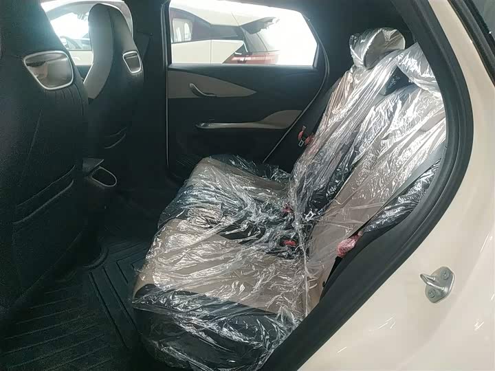 BYD Dolphin 2025 2025款 420km 自由版