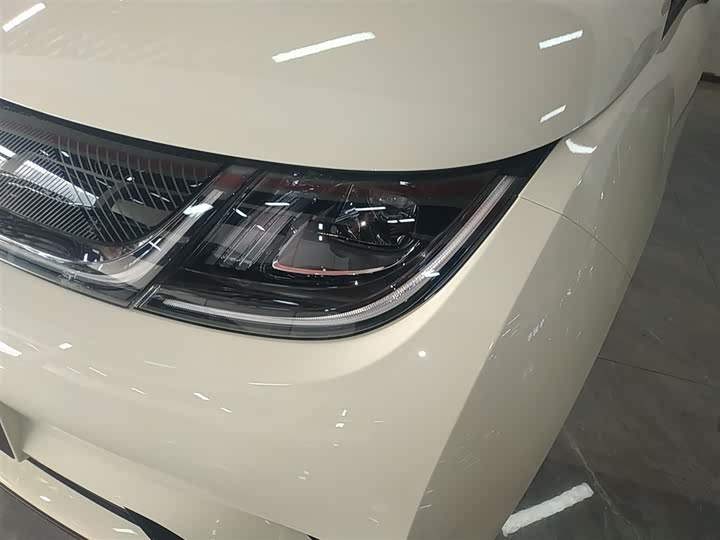 BYD Dolphin 2025 2025款 420km 自由版