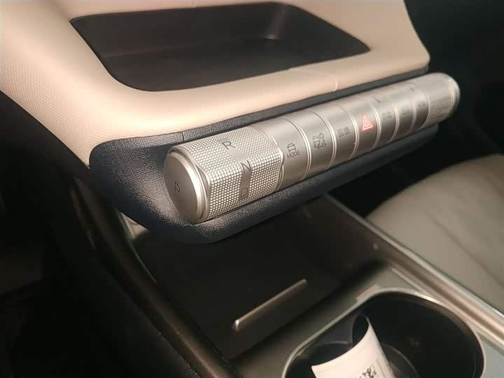 BYD Dolphin 2025 2025款 420km 自由版