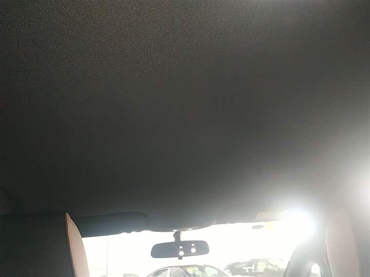 BYD Dolphin 2025 2025款 420km 自由版