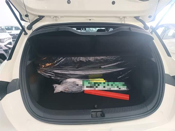 BYD Dolphin 2025 2025款 420km 自由版