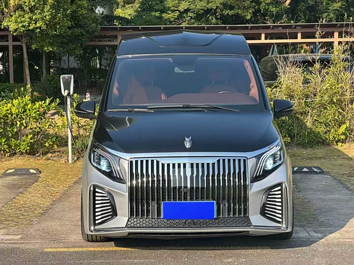 Mercedes-Benz Vito 2024 2024款 2.0T 商务版 7座