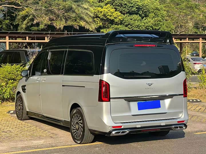 Mercedes-Benz Vito 2024 2024款 2.0T 商务版 7座