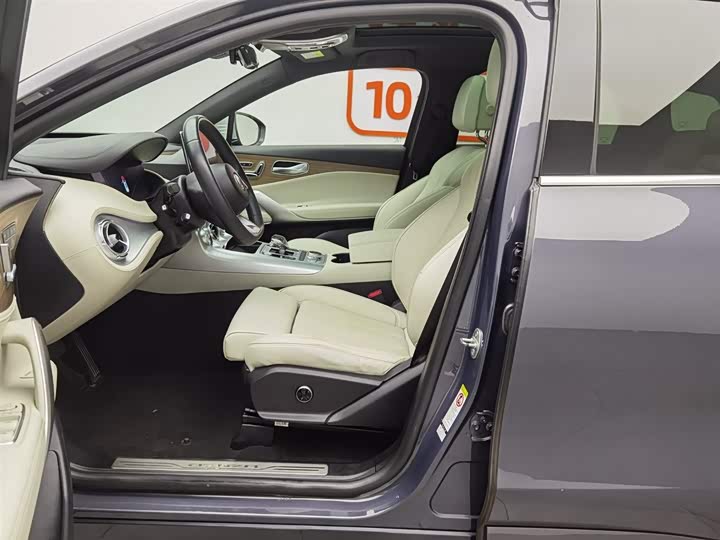 Denza X 2020 2020款 PHEV旗舰版