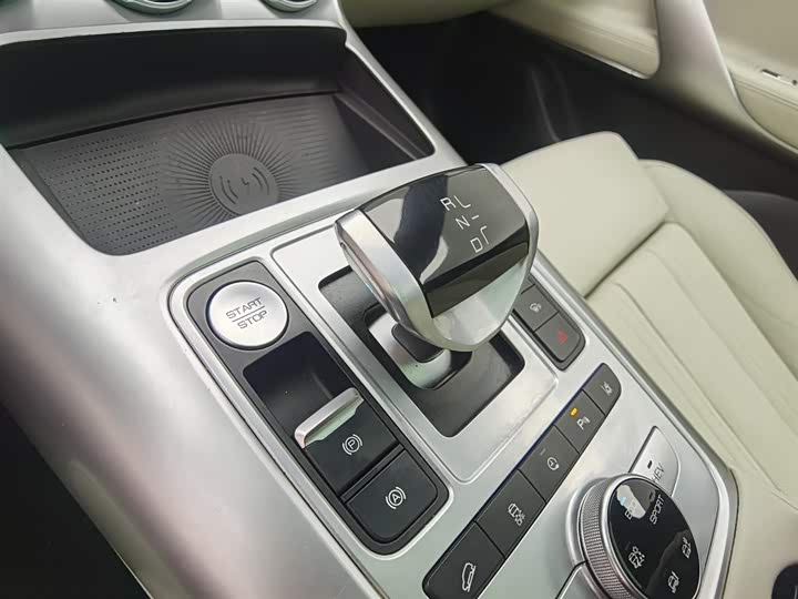 Denza X 2020 2020款 PHEV旗舰版