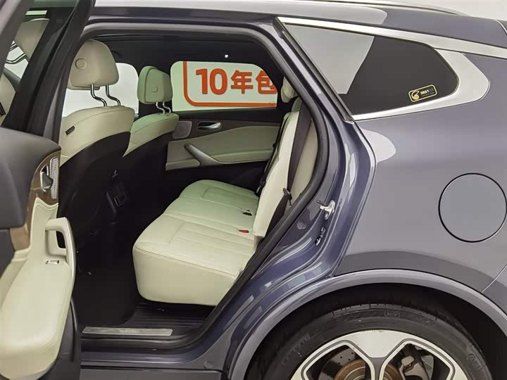 Denza X 2020 2020款 PHEV旗舰版