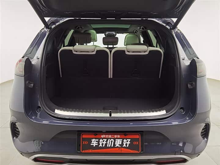 Denza X 2020 2020款 PHEV旗舰版