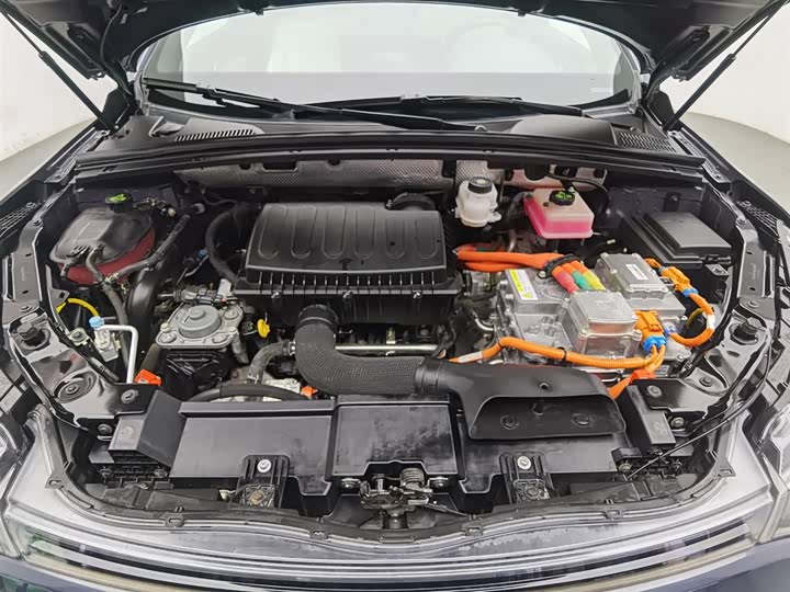 Denza X 2020 2020款 PHEV旗舰版