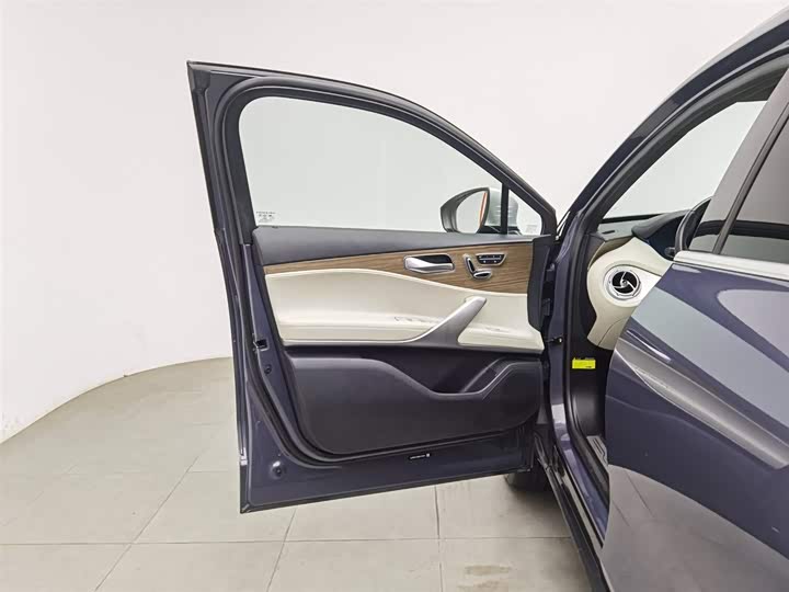 Denza X 2020 2020款 PHEV旗舰版