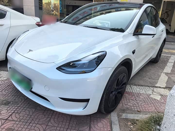 Tesla Model Y 2024 2024款 后轮驱动版