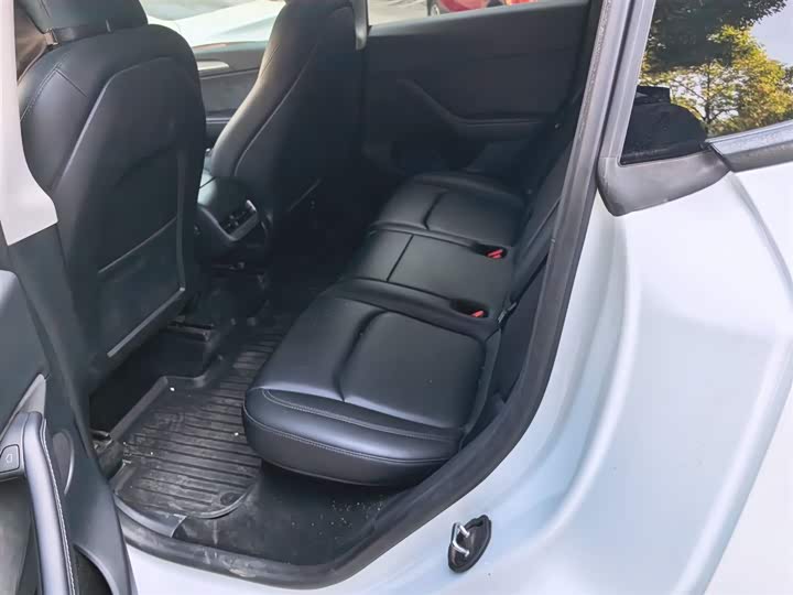 Tesla Model Y 2024 2024款 后轮驱动版