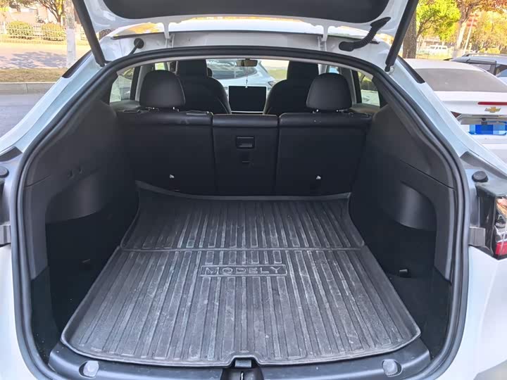 Tesla Model Y 2024 2024款 后轮驱动版