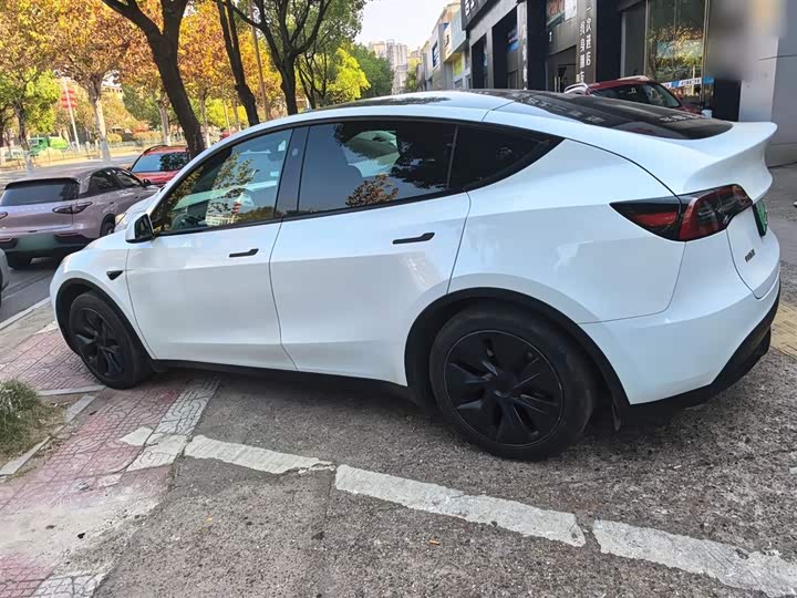 Tesla Model Y 2024 2024款 后轮驱动版