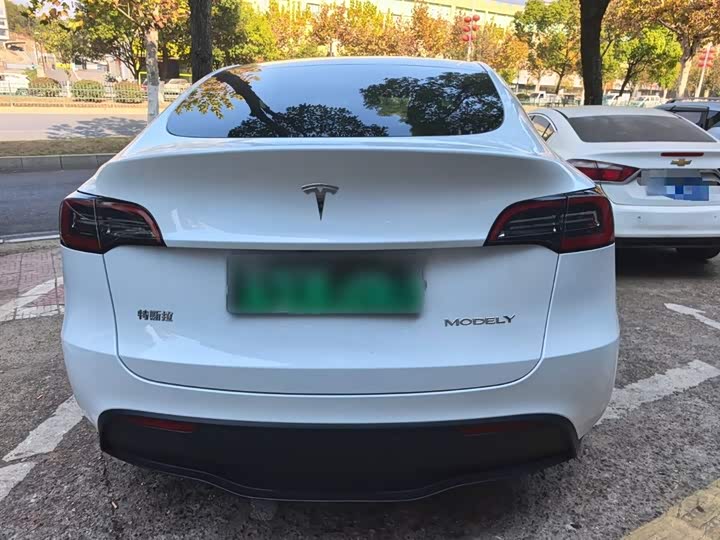 Tesla Model Y 2024 2024款 后轮驱动版