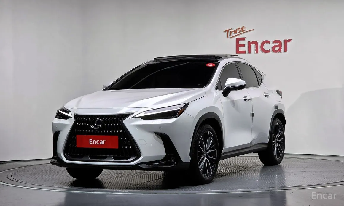 Lexus NX 2022 Luxury