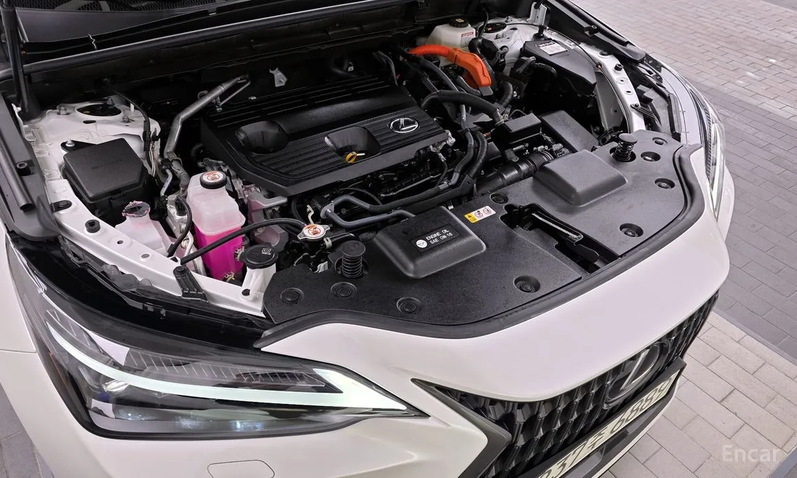 Lexus NX 2022 Luxury