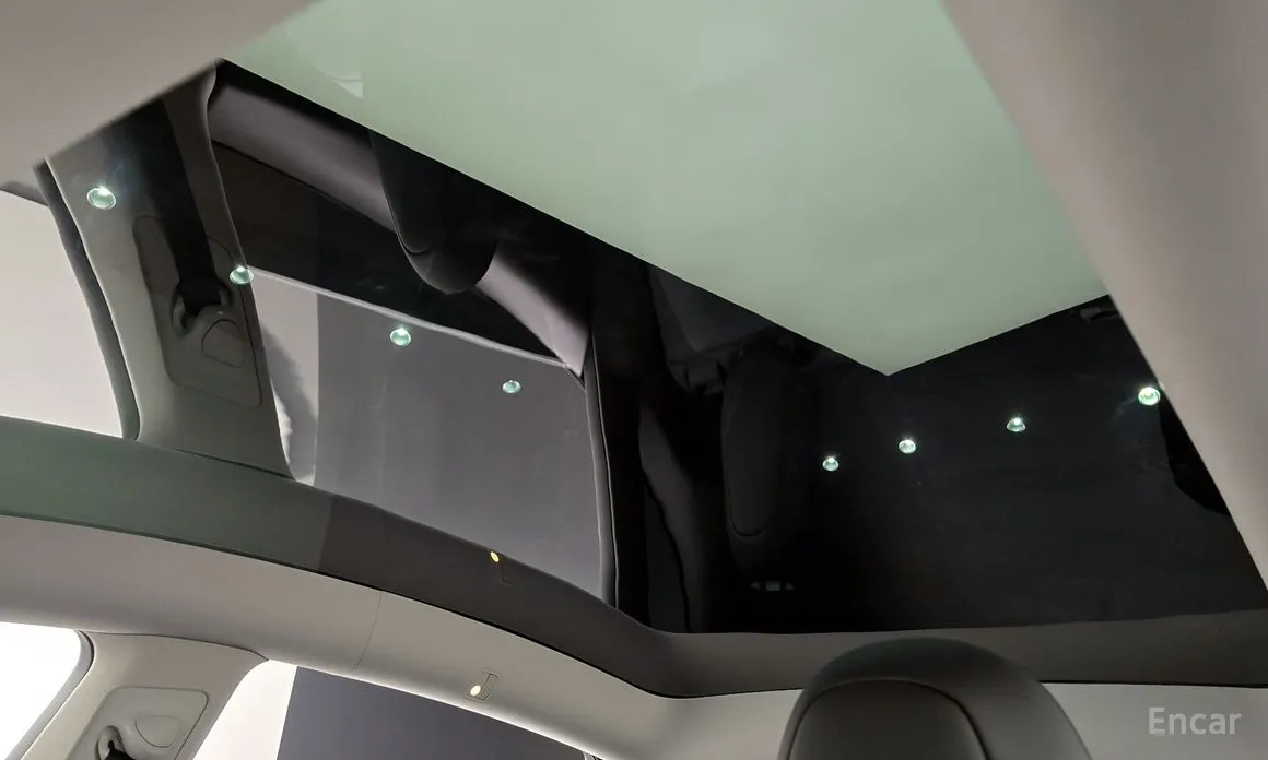 Tesla Model Y 2020 RWD