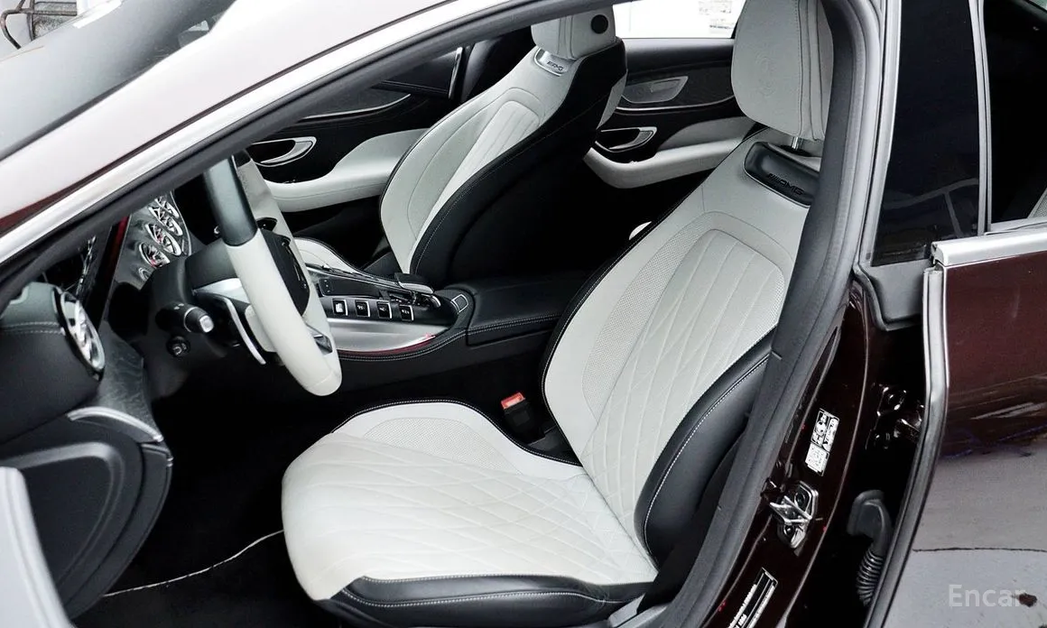 Mercedes-Benz AMG GT 2014 4Door 43 4MATIC+ Special Edition