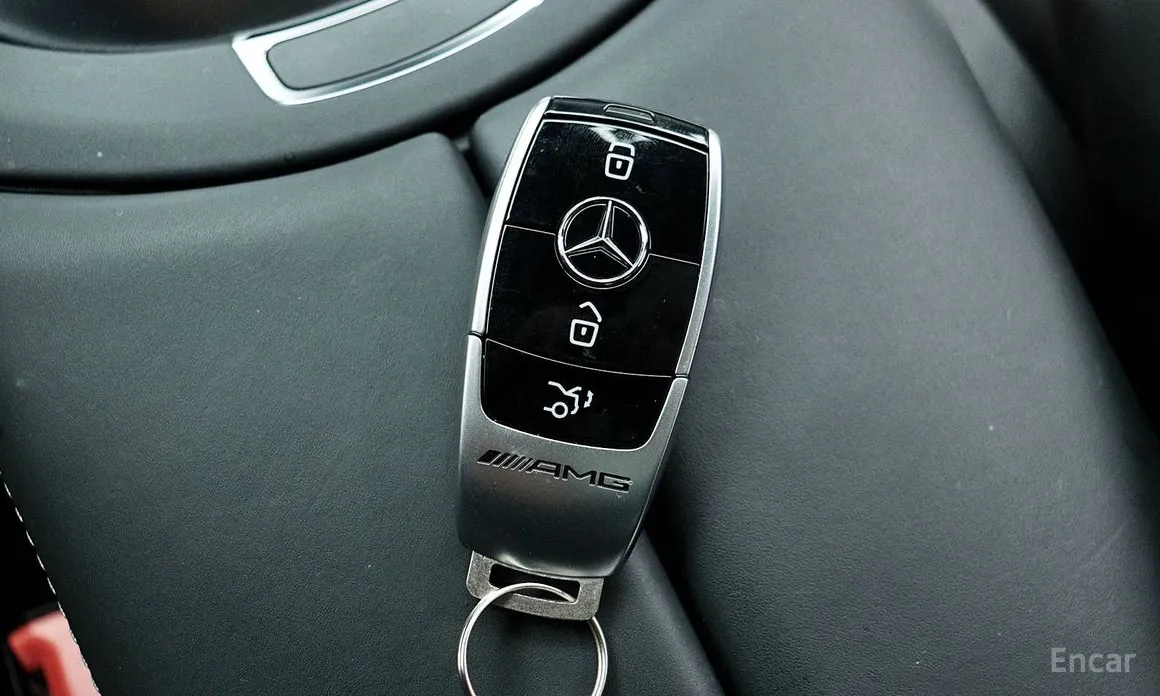 Mercedes-Benz AMG GT 2014 4Door 43 4MATIC+ Special Edition