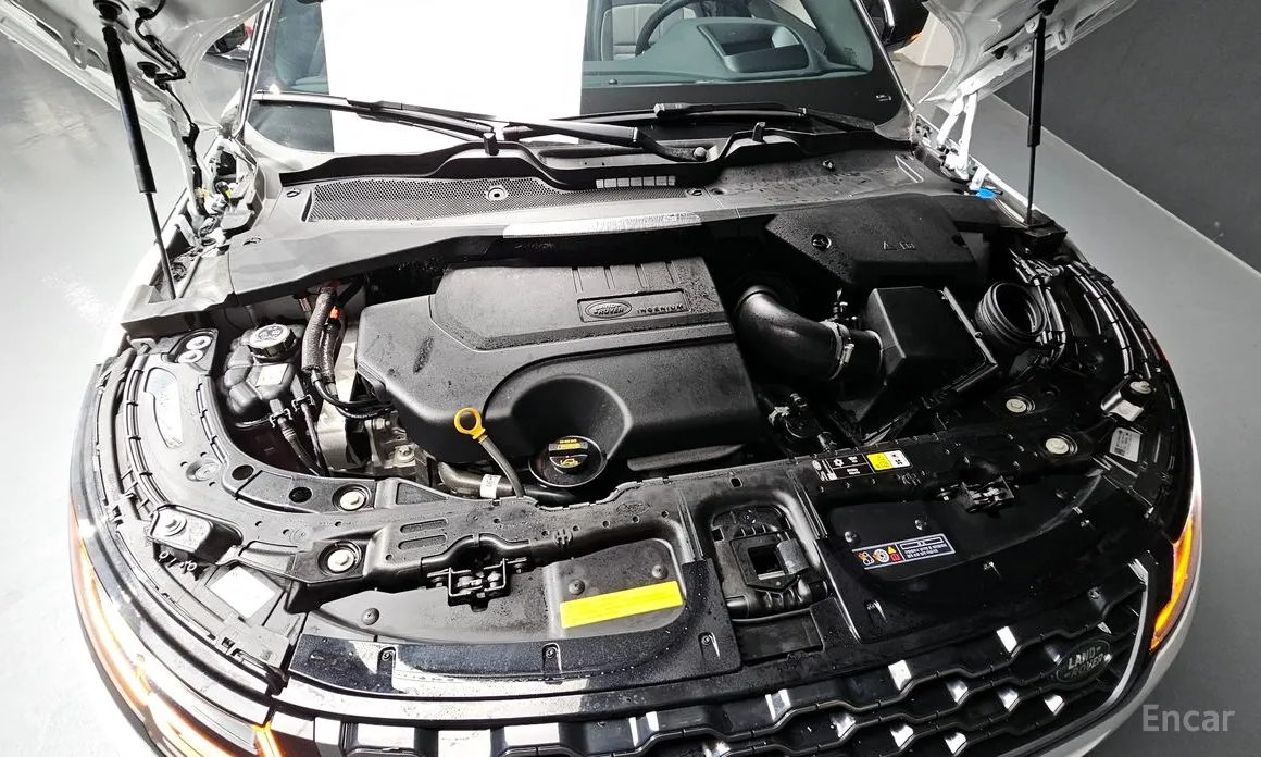 Land Rover Range Rover Evoque 2019 P250 R-Dynamic SE