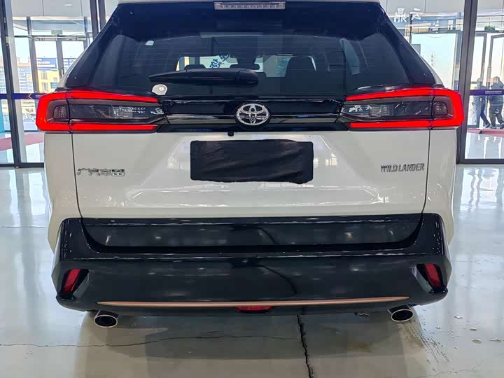 Toyota Wildlander 2024 2024款 2.0L CVT两驱豪华PLUS版