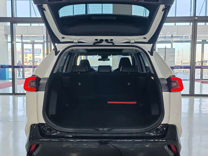 Toyota Wildlander 2024 2024款 2.0L CVT两驱豪华PLUS版