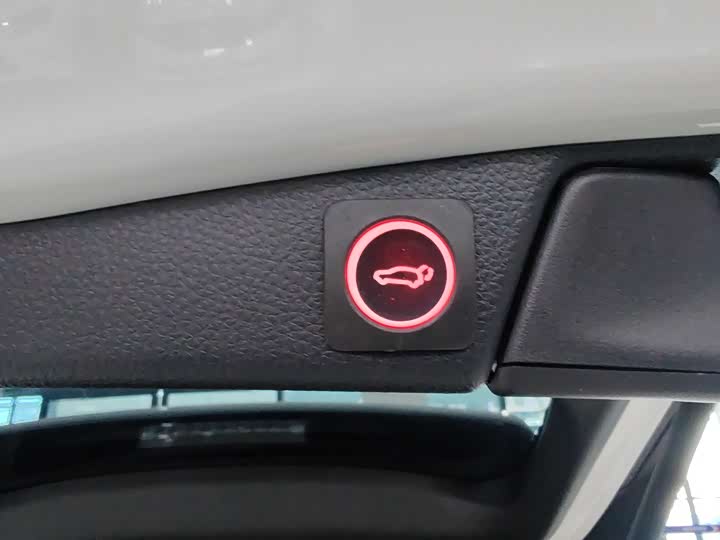 Toyota Wildlander 2024 2024款 2.0L CVT两驱豪华PLUS版