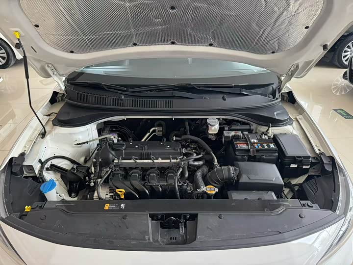 Hyundai Celesta 2020 2020款 1.6L 自动GL悦目版