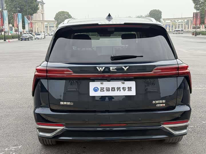 Wey Lanshan 2025 2025款 四驱智驾 Max