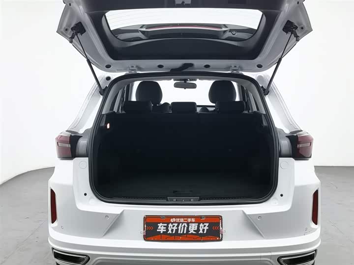 Exeed LX 2022 2022款 乘风破浪版 1.5T CVT好事花生版