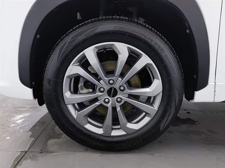 Exeed LX 2022 2022款 乘风破浪版 1.5T CVT好事花生版